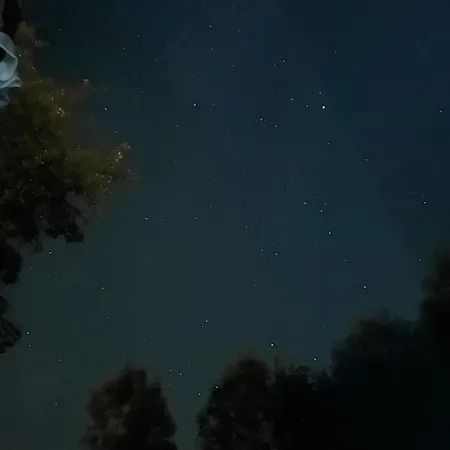 Z Sauna Neptun Domek alpejski