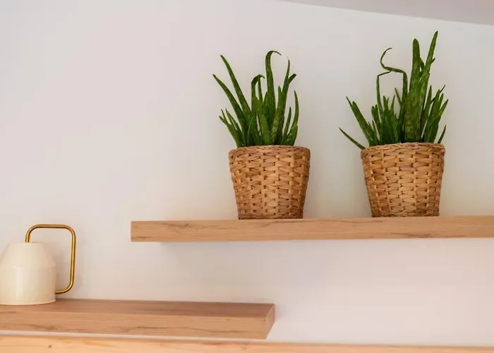 Z Sauna Neptun בקתה *