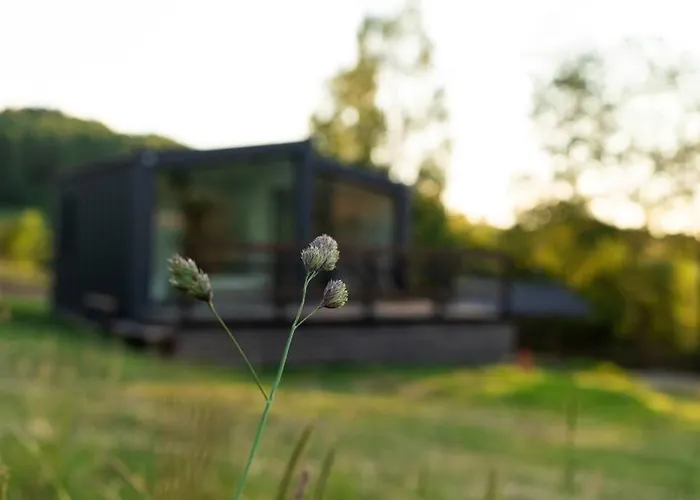 בקתה Z Sauna Neptun *